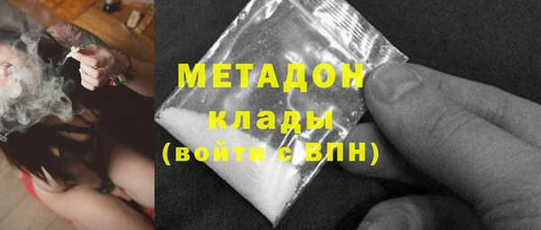 индика Абаза