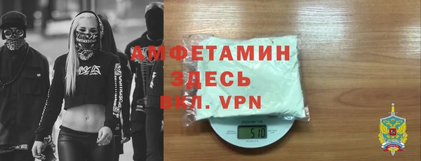 индика Абаза