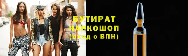 индика Абаза