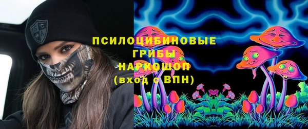 индика Алексеевка