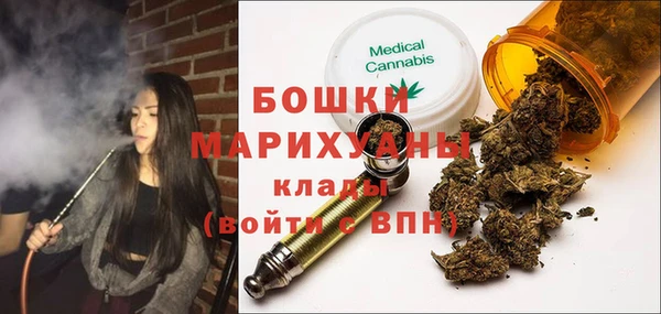 индика Абаза