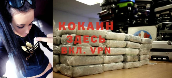 индика Абаза