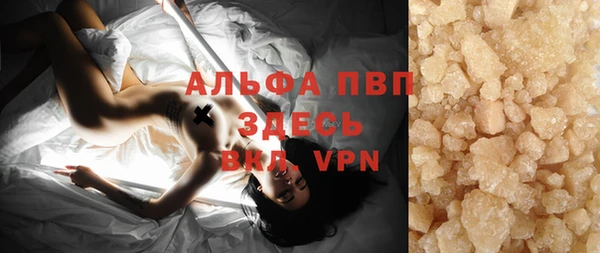 индика Абаза