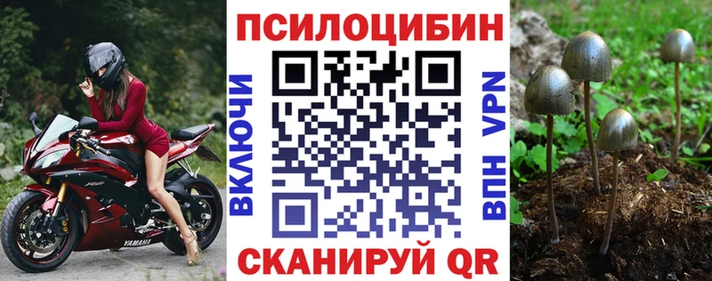 Псилоцибиновые грибы Psilocybine cubensis  Сарапул 